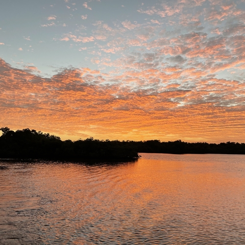 Sunrise in the Glades