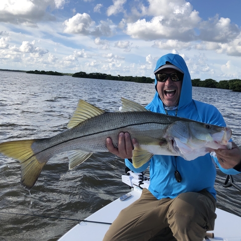 Everglades Snook